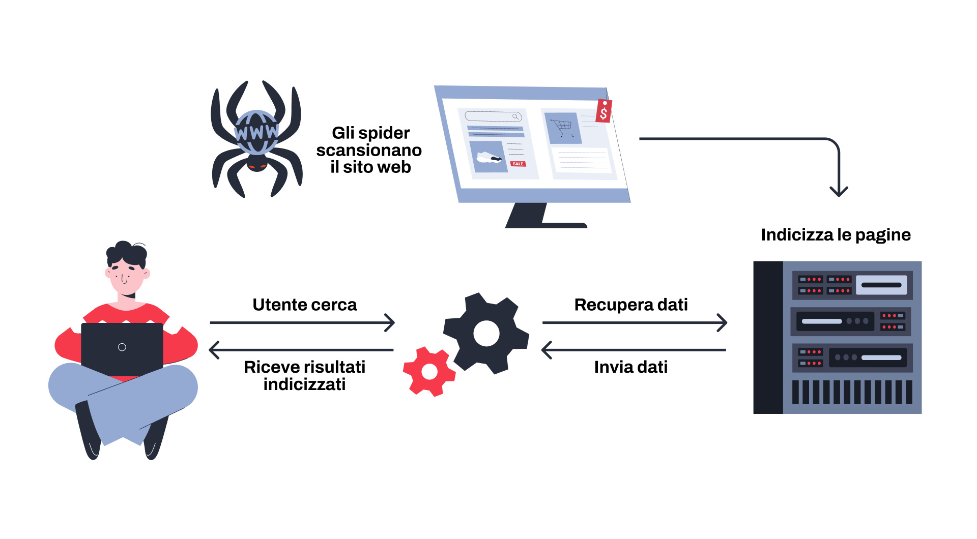 Processo di come lo spider indicizza le pagine
